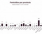 La Defensoría del Pueblo de la Nación registró 247 femicidios en 2025