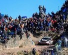Tragedia en el Rally en Córdoba: murió un espectador y suspendieron la competencia