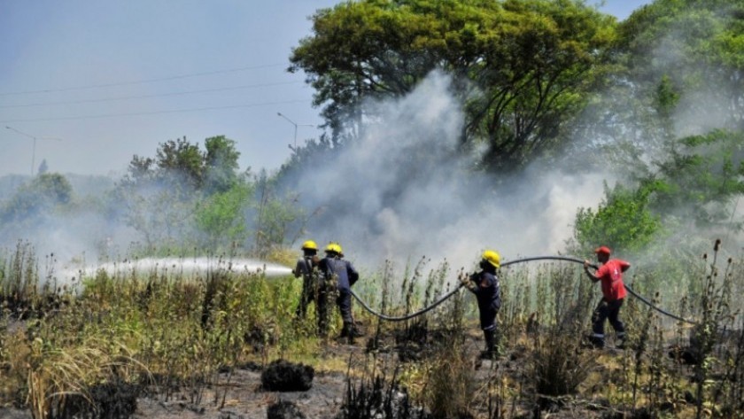 Cuatro provincias registran focos activos de incendios forestales