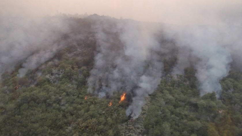 Declararon la emergencia y el desastre agropecuario en tres provincias